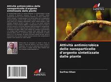 Bookcover of Attività antimicrobica delle nanoparticelle d'argento sintetizzate dalle piante