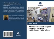 Abwasserbehandlung mit nanomodifizierten natürlichen Materialien kitap kapağı