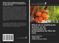 Portada del libro de Efecto de la modificación química en los compuestos de polipropileno de fibra de coco