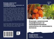 Copertina di Влияние химической модификации на полипропиленовые композиты из кокосового волокна
