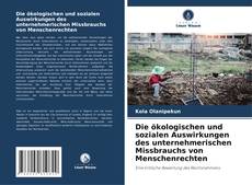 Portada del libro de Die ökologischen und sozialen Auswirkungen des unternehmerischen Missbrauchs von Menschenrechten