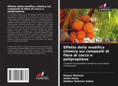 Capa do livro de Effetto della modifica chimica sui compositi di fibra di cocco e polipropilene 