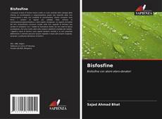 Buchcover von Bisfosfine