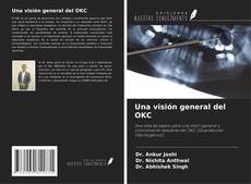 Buchcover von Una visión general del OKC
