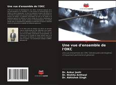 Bookcover of Une vue d'ensemble de l'OKC