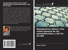 Copertina di Nanoquímica básica: Una visión general de los nanomateriales y del Zn-Al LDH