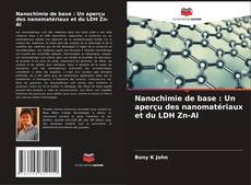 Copertina di Nanochimie de base : Un aperçu des nanomatériaux et du LDH Zn-Al