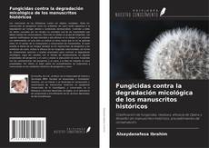 Copertina di Fungicidas contra la degradación micológica de los manuscritos históricos