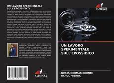 UN LAVORO SPERIMENTALE SULL'EPOSSIDICO kitap kapağı