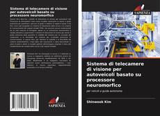 Bookcover of Sistema di telecamere di visione per autoveicoli basato su processore neuromorfico