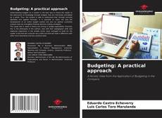 Capa do livro de Budgeting: A practical approach 