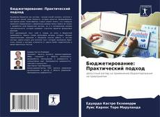 Capa do livro de Бюджетирование: Практический подход 