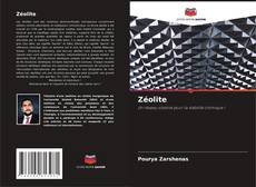 Bookcover of Zéolite