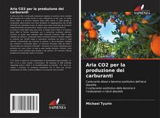 Bookcover of Aria CO2 per la produzione dei carburanti