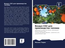 Buchcover von Воздух CO2 для производства топлива