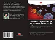 Copertina di Effets des flavonoïdes sur les tumeurs du cancer du sein