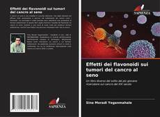 Effetti dei flavonoidi sui tumori del cancro al seno kitap kapağı