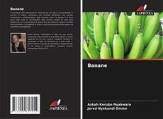 Capa do livro de Banane 