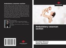 Buchcover von Ambulatory cesarean section