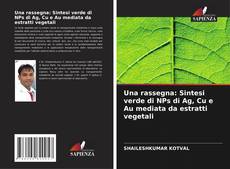 Bookcover of Una rassegna: Sintesi verde di NPs di Ag, Cu e Au mediata da estratti vegetali