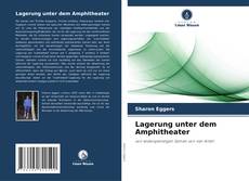 Portada del libro de Lagerung unter dem Amphitheater