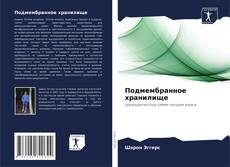 Подмембранное хранилище kitap kapağı