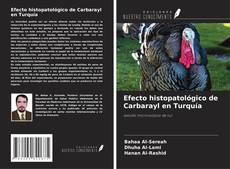 Bookcover of Efecto histopatológico de Carbarayl en Turquía