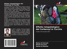 Portada del libro de Effetto istopatologico del Carbarayl in Turchia