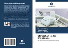 Ultraschall in der Endodontie kitap kapağı