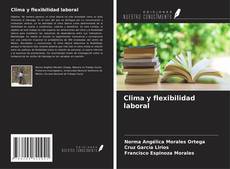 Bookcover of Clima y flexibilidad laboral