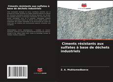 Bookcover of Ciments résistants aux sulfates à base de déchets industriels