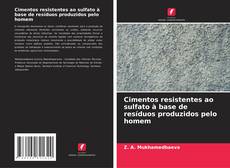 Bookcover of Cimentos resistentes ao sulfato à base de resíduos produzidos pelo homem