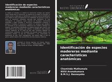 Bookcover of Identificación de especies madereras mediante características anatómicas