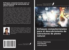 Copertina di Enfoques computacionales para el descubrimiento de estructuras de plomo natural