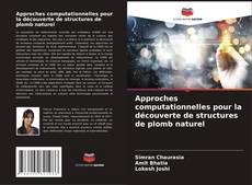 Bookcover of Approches computationnelles pour la découverte de structures de plomb naturel
