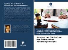 Buchcover von Analyse der Techniken des öffentlichen Rechnungswesens