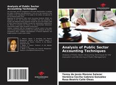 Buchcover von Analysis of Public Sector Accounting Techniques