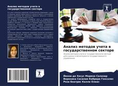 Borítókép a  Анализ методов учета в государственном секторе - hoz