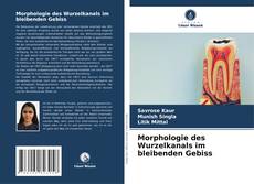 Morphologie des Wurzelkanals im bleibenden Gebiss kitap kapağı