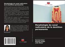 Обложка Morphologie du canal radiculaire de la dentition permanente