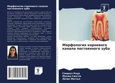 Морфология корневого канала постоянного зуба的封面