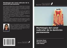 Buchcover von Morfología del canal radicular de la dentición permanente
