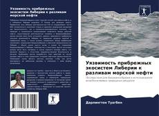 Borítókép a  Уязвимость прибрежных экосистем Либерии к разливам морской нефти - hoz