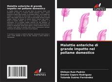 Bookcover of Malattie enteriche di grande impatto nel pollame domestico