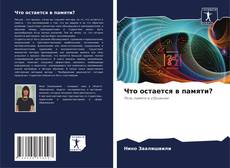 Capa do livro de Что остается в памяти? 