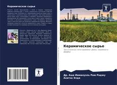Керамическое сырье kitap kapağı