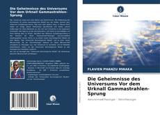 Die Geheimnisse des Universums Vor dem Urknall Gammastrahlen-Sprung kitap kapağı