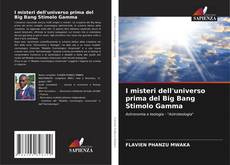 I misteri dell'universo prima del Big Bang Stimolo Gamma kitap kapağı