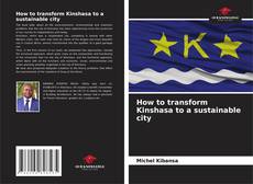 Couverture de How to transform Kinshasa to a sustainable city