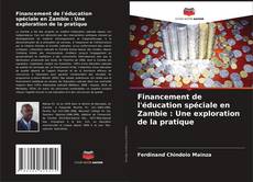Financement de l'éducation spéciale en Zambie : Une exploration de la pratique kitap kapağı